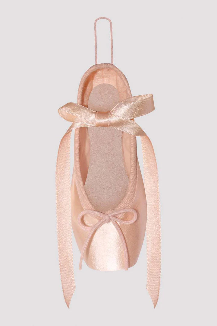 A0607 Decorative Pointe Shoe